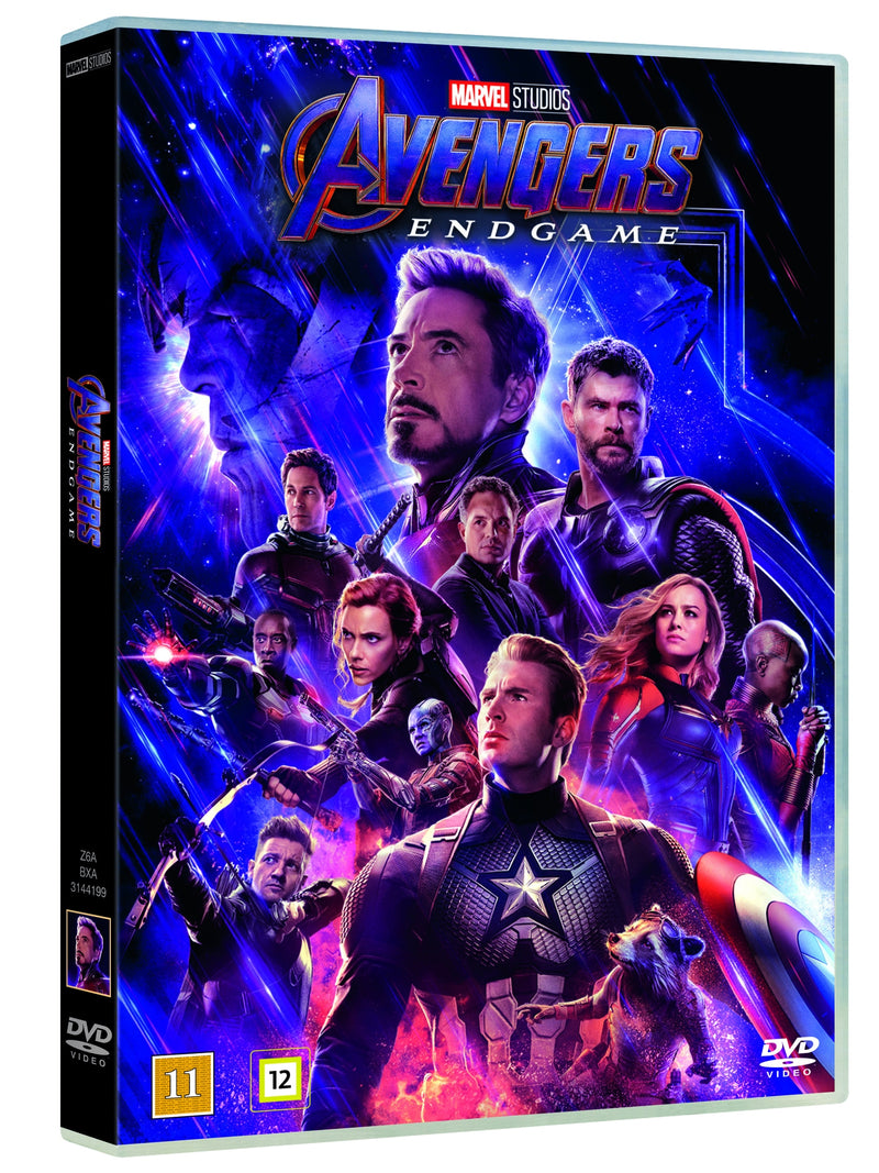 Marvel Avengers Endgame [DVD]